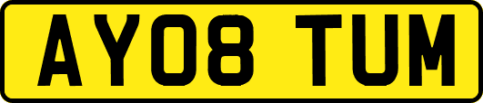 AY08TUM