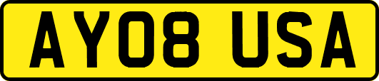 AY08USA