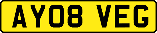 AY08VEG