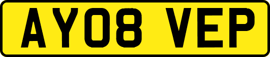 AY08VEP