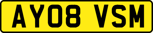 AY08VSM