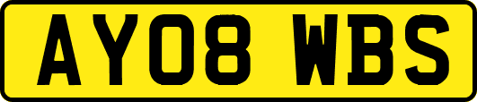 AY08WBS