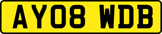 AY08WDB