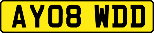 AY08WDD
