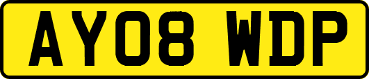 AY08WDP