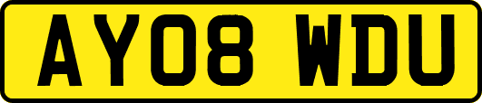 AY08WDU