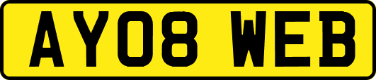 AY08WEB