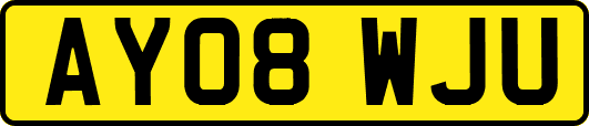 AY08WJU