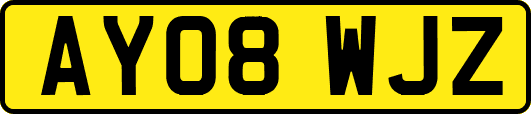 AY08WJZ