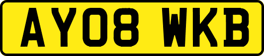 AY08WKB