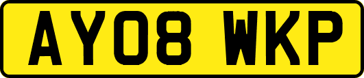 AY08WKP