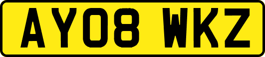 AY08WKZ