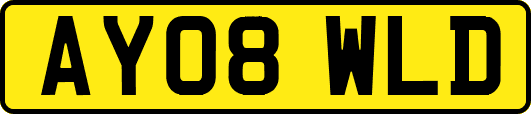 AY08WLD