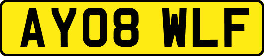 AY08WLF