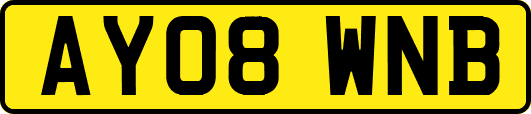 AY08WNB