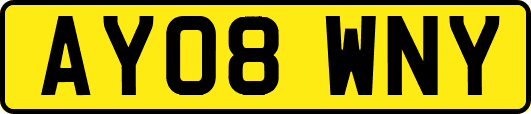 AY08WNY