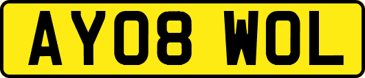 AY08WOL