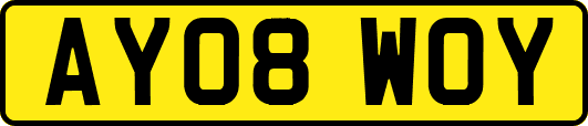 AY08WOY