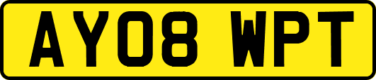 AY08WPT