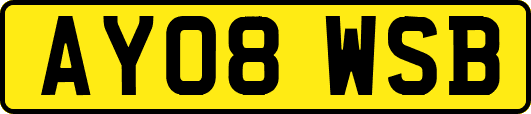 AY08WSB
