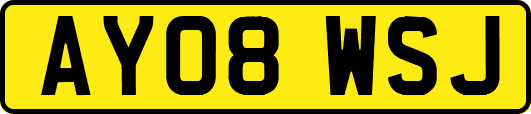 AY08WSJ