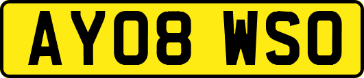 AY08WSO