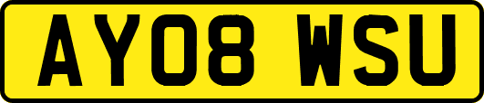 AY08WSU