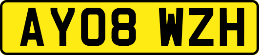 AY08WZH
