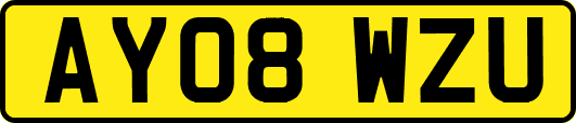 AY08WZU