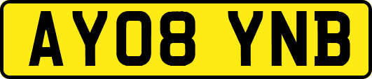 AY08YNB