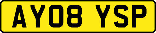 AY08YSP