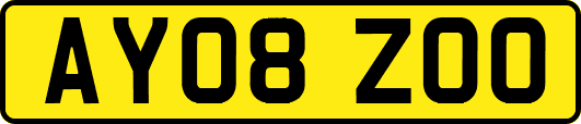 AY08ZOO
