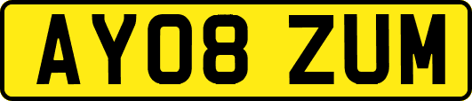 AY08ZUM