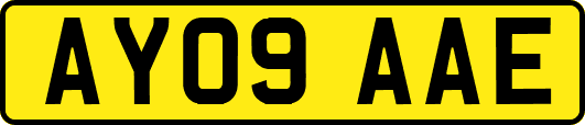 AY09AAE
