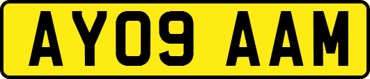 AY09AAM
