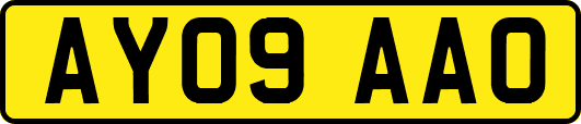 AY09AAO