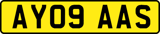 AY09AAS
