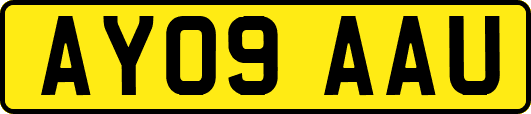 AY09AAU