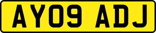 AY09ADJ
