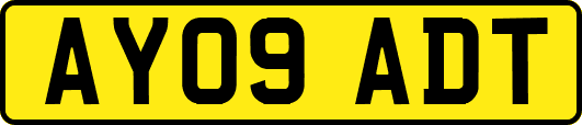AY09ADT