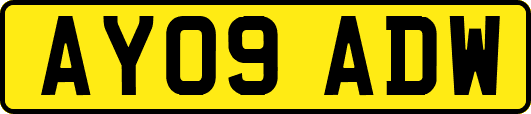 AY09ADW