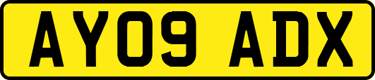 AY09ADX