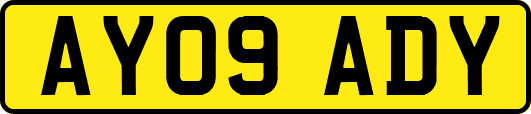 AY09ADY