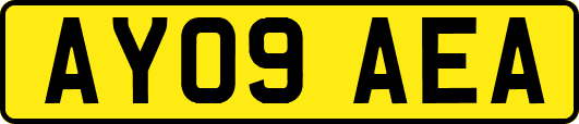 AY09AEA