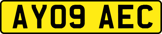 AY09AEC