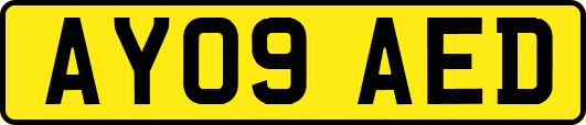 AY09AED