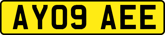 AY09AEE