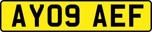 AY09AEF