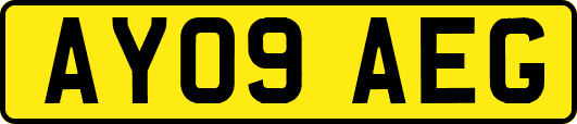 AY09AEG