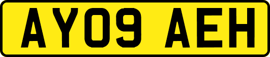 AY09AEH
